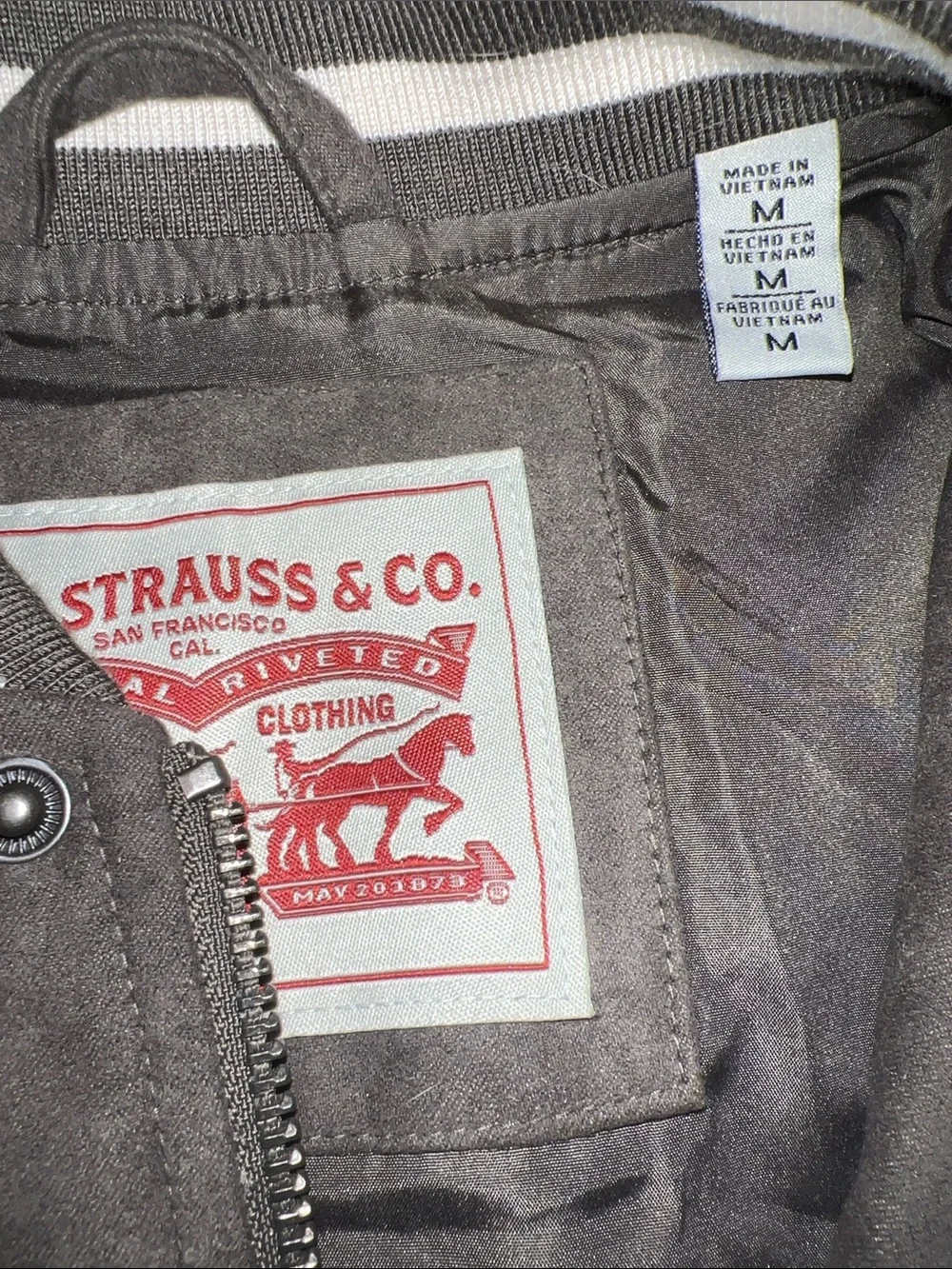 Levis levi varsity
